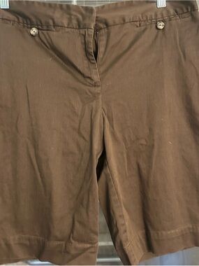 Ann Taylor Brown Dress Shorts - Smooth Solid Finish